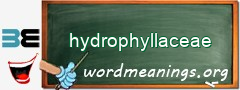 WordMeaning blackboard for hydrophyllaceae